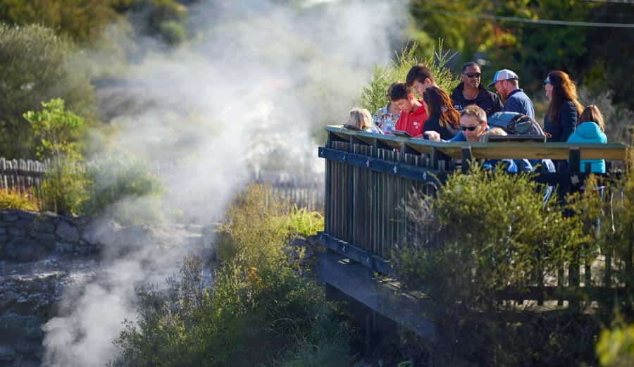Rotorua: Whakarewarewa Village Guided Tour - Historic buildings and Māori community life