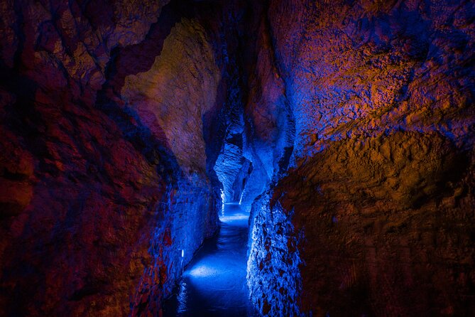 Ruakuri Cave and Hamilton Gardens Private Day Tour from Auckland - Why this Auckland day trip works
