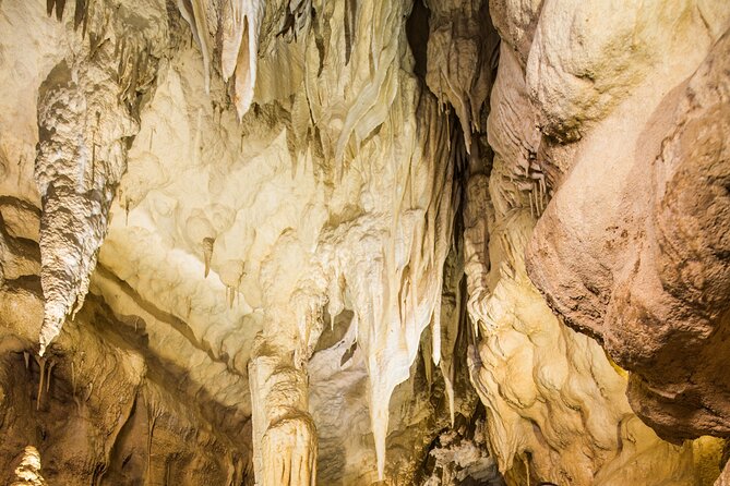 Ruakuri Cave and Hamilton Gardens Private Day Tour from Auckland - Inside Ruakuri Cave near Waitomo