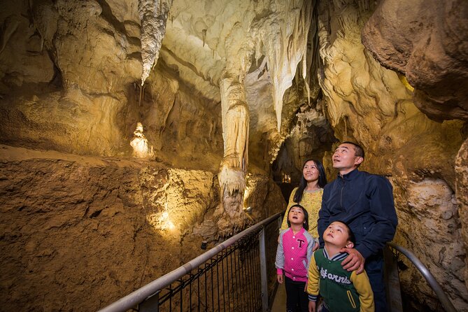 Ruakuri Cave and Hamilton Gardens Private Day Tour from Auckland - Hamilton Gardens: two hours of changing themes