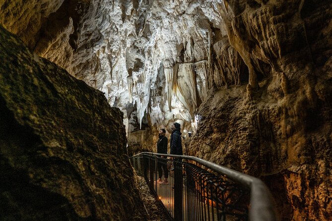 Ruakuri Cave and Hamilton Gardens Private Day Tour from Auckland - Mercer and the Waikato River on the return