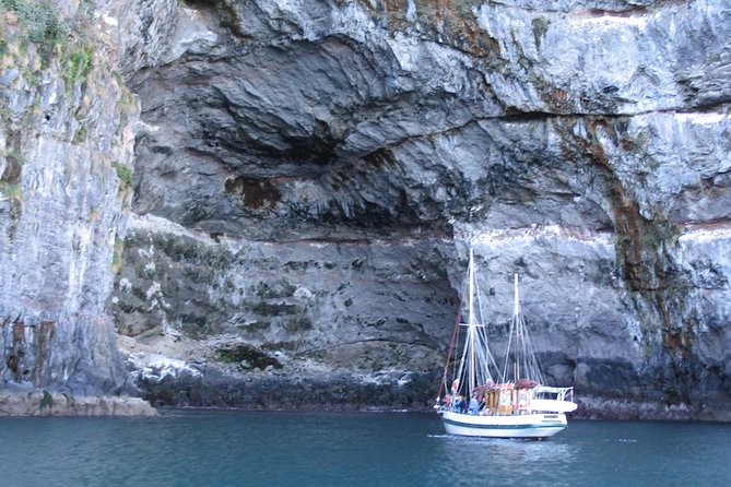 Sailing and Wildlife Tour Akaroa Fox II Sailing - Akaroa Harbour and the search for Hector’s dolphins