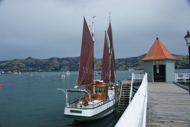 Sailing and Wildlife Tour Akaroa Fox II Sailing - Who will get the most from Fox II Sailing?
