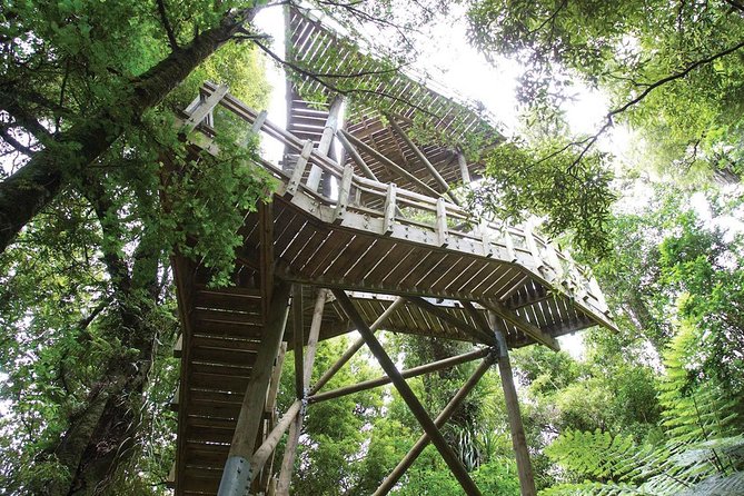 Sanctuary Mountain (Mt Maungatautari) & Hamilton Gardens Day trip from Auckland - From Auckland to Kaihere Lookout