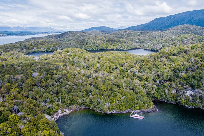 Scenic Cruise & Guided walk on Historic Motor Yacht Lake Te Anau - Who will enjoy this cruise most