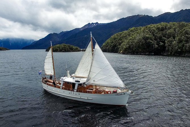 Scenic Cruise & Guided Walk on Historic Motor Yacht Lake Te Anau - Cruising toward the South Fiord