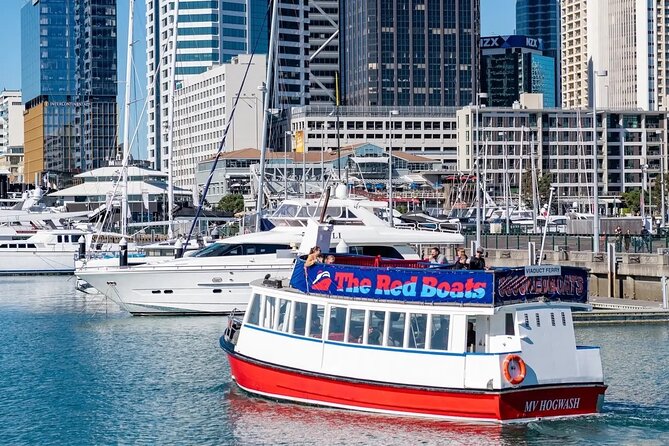 Scenic Harbour Cruise in Auckland - Key points to know before you book