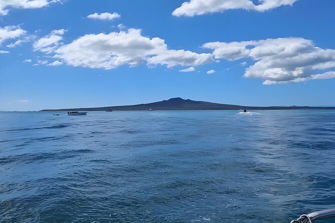 Scenic Harbour Cruise in Auckland - Who will enjoy this cruise most