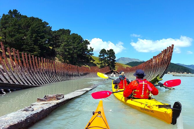 Sea Kayaking Christchurch, Lyttelton Harbour & Quail Island - How the small group changes the experience