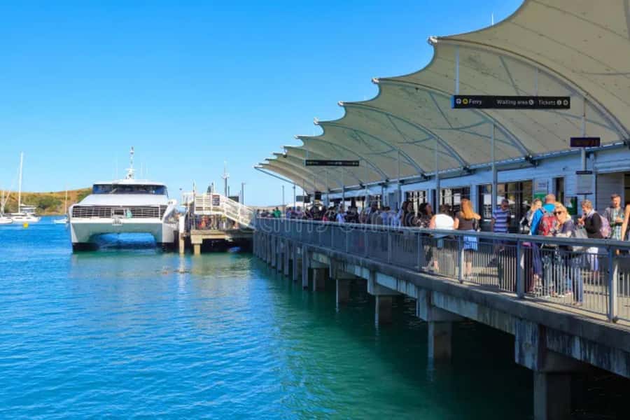 Sea, Land & Sky Premium Package - Why this package works for an Auckland day