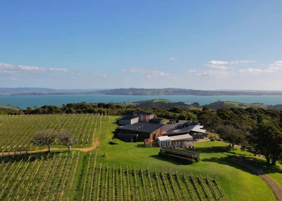 Sea, Land & Sky Premium Package - The Cessna 172 flight over Waiheke