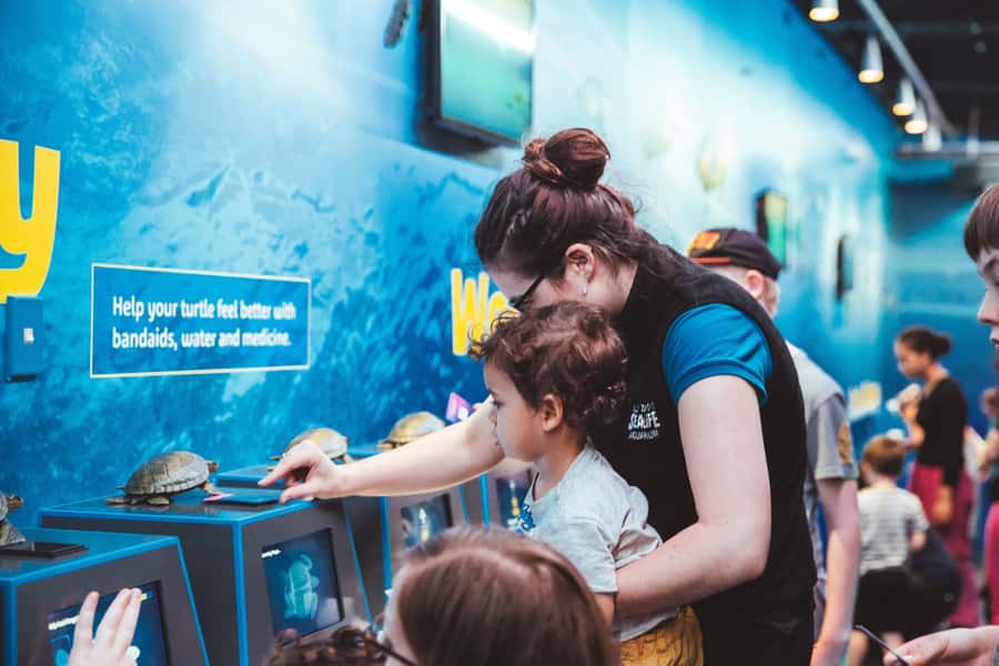 Sea Life Kelly Tarlton's Aquarium General Admission - Getting the timing right near Mission Bay