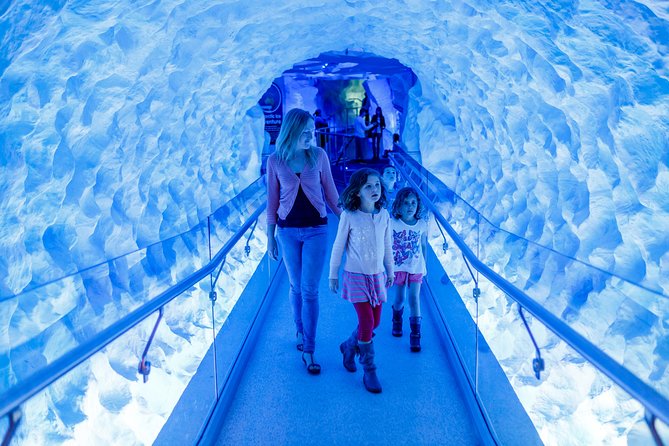 SEA LIFE Kelly Tarlton's General Admission - Who will enjoy this most?