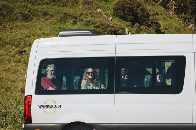 Seal Coast Safari - Exclusive access to Wellington's secret coast - Why Wellington’s south coast feels so far away