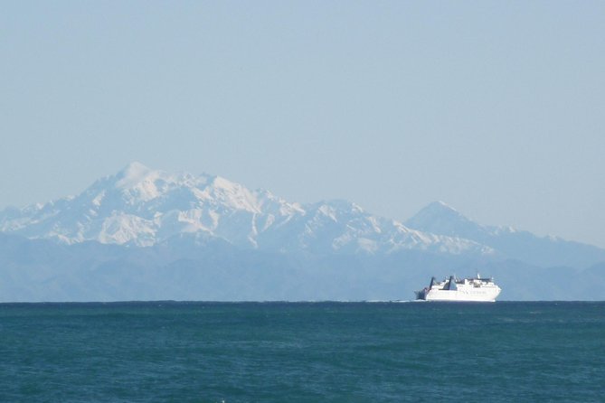Seal Coast Safari - Exclusive access to Wellington's secret coast - Pickup, timing, and cruise-day planning
