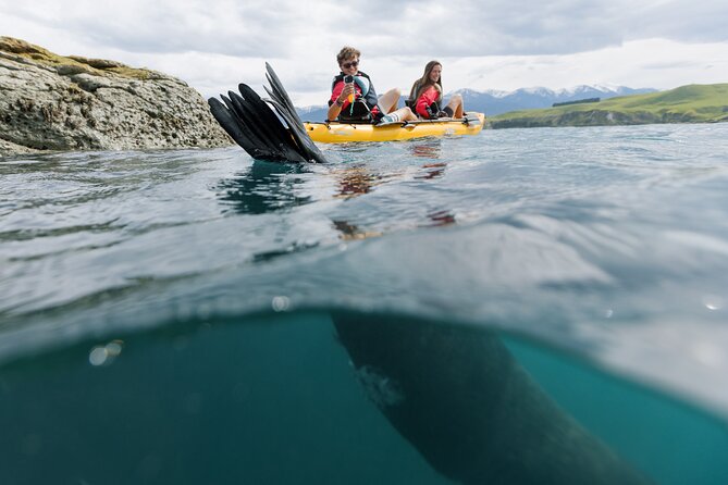Seal Kayaking Adventure in Kaikoura - The opening stretch along the Kaikoura coast