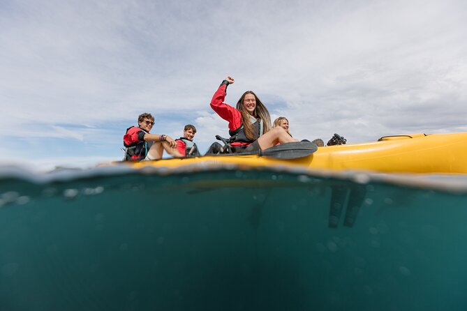 Seal Kayaking Adventure in Kaikoura - Dolphins, seabirds, and the lucky penguin