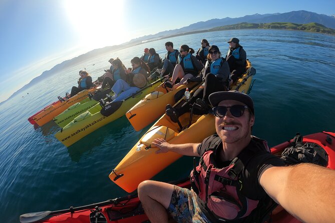 Seal Kayaking Adventure in Kaikoura - How much activity should you expect?
