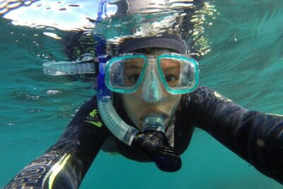 Seal Swimming Tour from Kaikoura