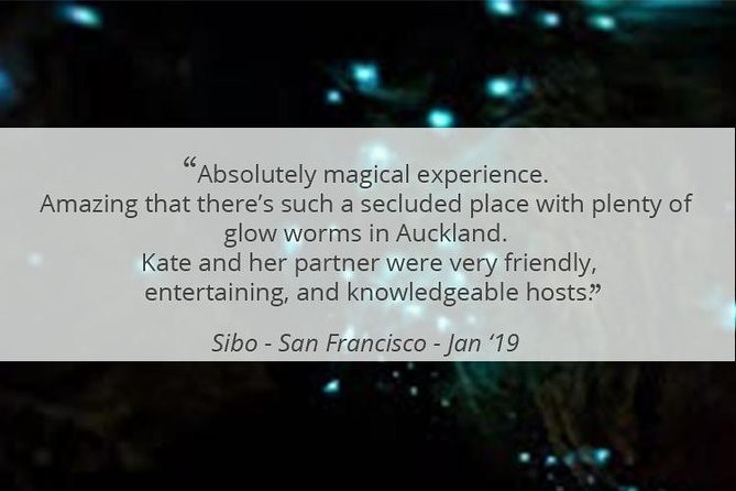 See Auckland's Secret Glow Worms - A private tour with real personal attention