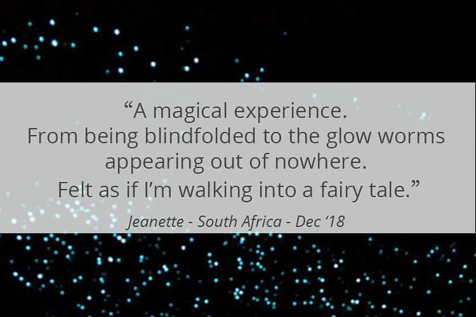 See Auckland's Secret Glow Worms - What the $77.57 price gets you