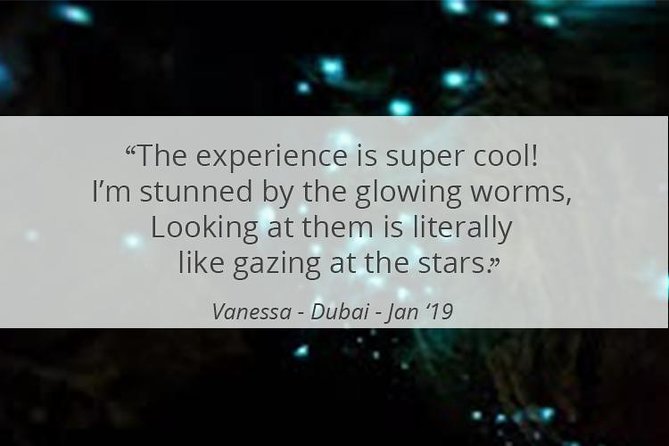 See Auckland's Secret Glow Worms - Timing, clothing, and practical preparation