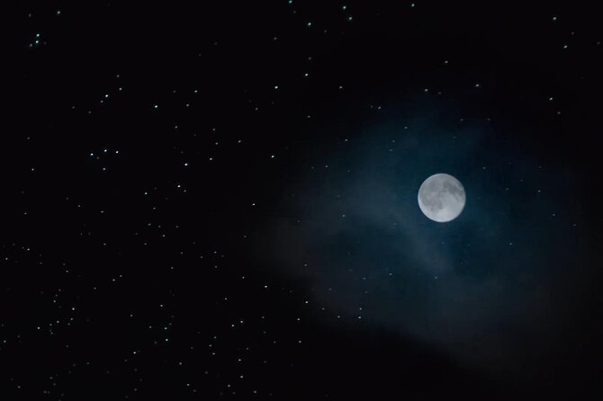 See Auckland's Secret Glow Worms - Who should book this evening experience