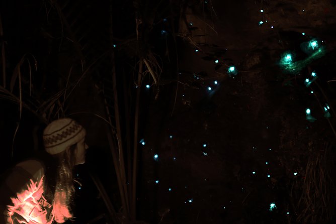 See Auckland's Secret Glow Worms - Meeting at the Ferry Building on Quay Street