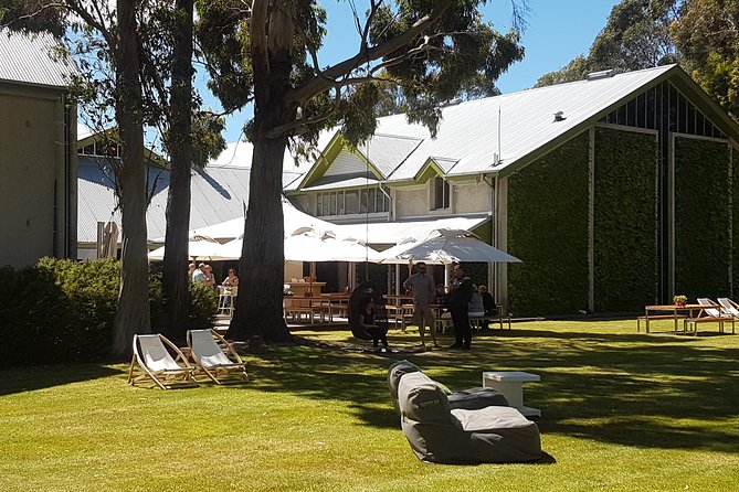 Self-Guided Biking Wine Tour (full day) in the Marlborough Region. - Pickup from Blenheim and Renwick