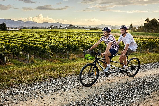 Self-Guided Biking Wine Tour (full day) in the Marlborough Region. - Who will get the most from this day