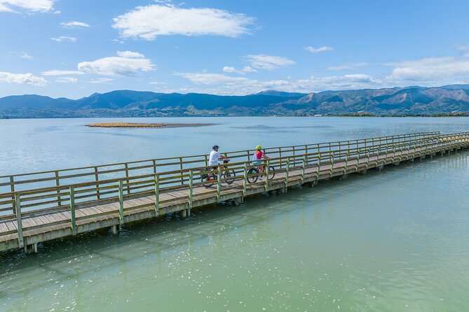 Self-guided E-bike cycle tour with private wine tasting - Lunch at Harvest Kitchen, Wednesday through Sunday