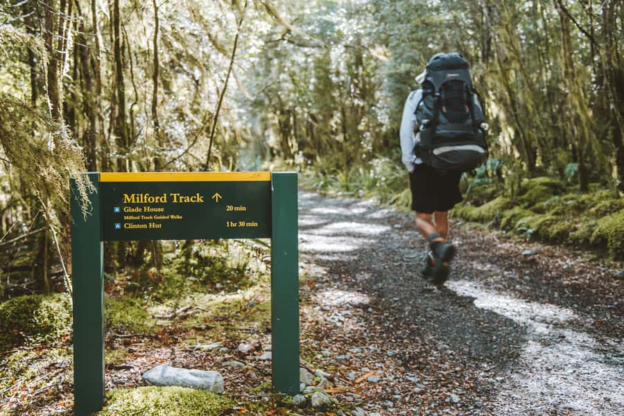Self-Guided Milford Track Day Walk from Lake Te Anau - Why this short Milford Track walk works