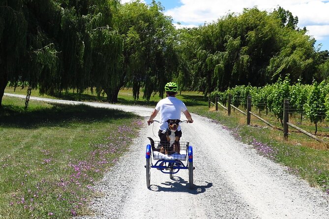 Self-Guided Wine Tours by Bike with Lorelle & Greg - Getting Fitted With a Bike and a Plan