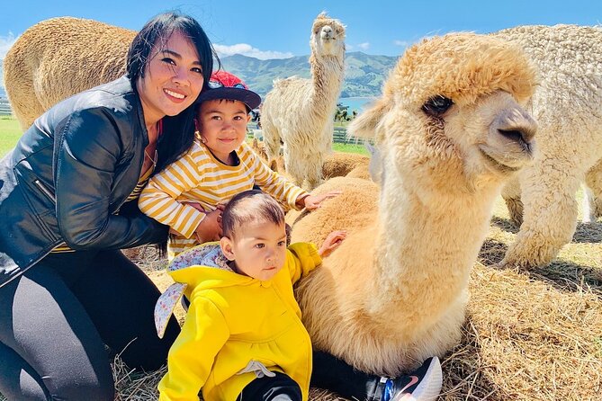 Shamarra Alpaca Farm Tours - Shamarra Alpacas at a glance
