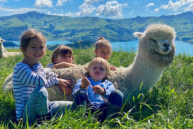 Shamarra Alpaca Farm Tours - Family value, photography, and small extras