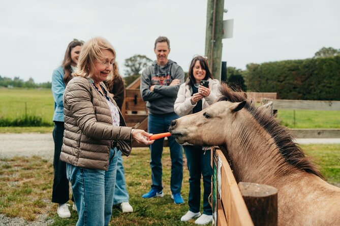 Sheep Farm Day Trip from Christchurch + Lunch and Winery visit. - Georges Road Wines in Waipara Valley