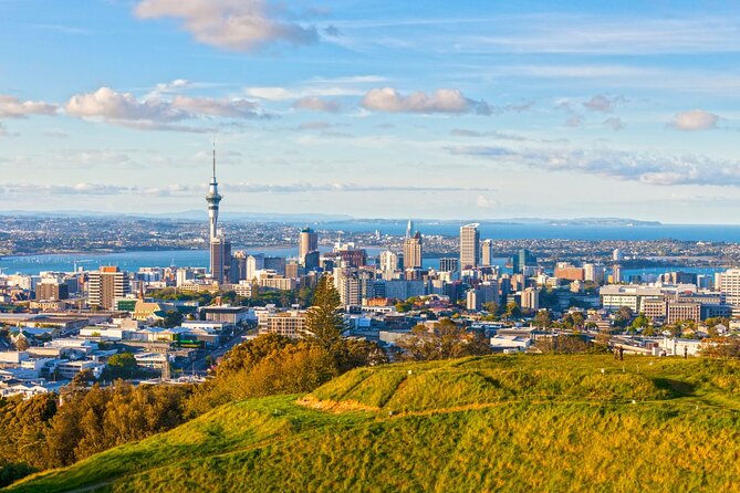 Sheep Shearing and Auckland City Highlights Tour with Lunch - Mount Eden and Auckland’s best city panorama