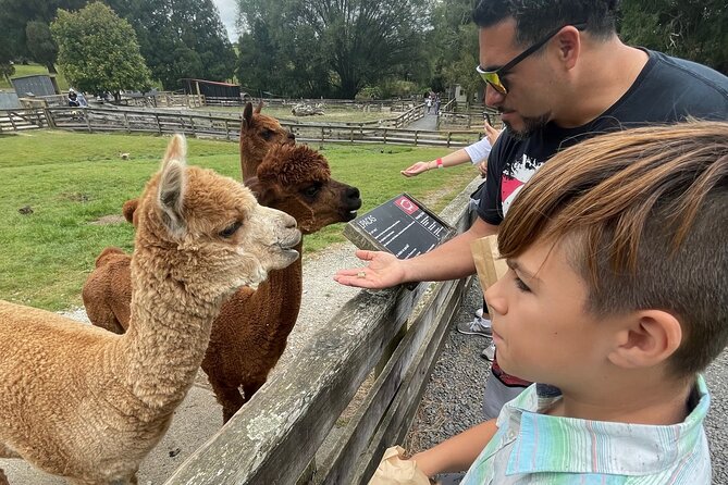Sheep World Country Tour from Auckland - The first two hours: countryside, gardens, and local stops