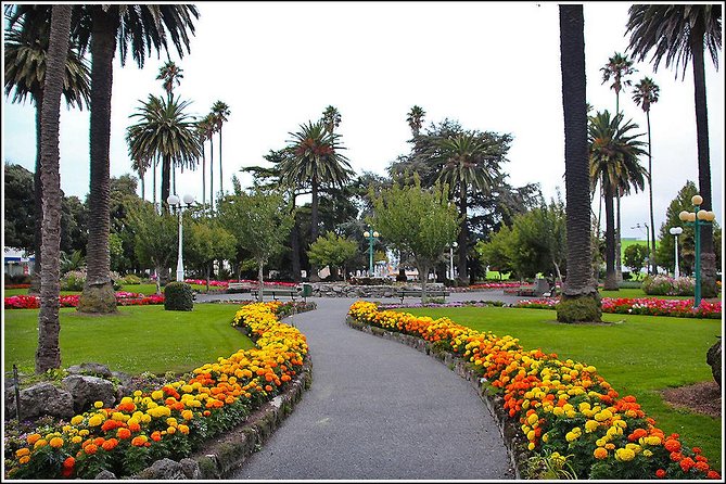 Shore Excursion: 4-Hour Discover Hawkes Bay and Napier Tour - Napier’s Art Deco streets and earthquake story