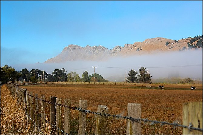 Shore Excursion: 4-Hour Discover Hawkes Bay and Napier Tour - Arataki Honey in Havelock North