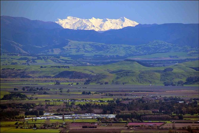 Shore Excursion: 4-Hour Discover Hawkes Bay and Napier Tour - The vehicle is the main practical concern
