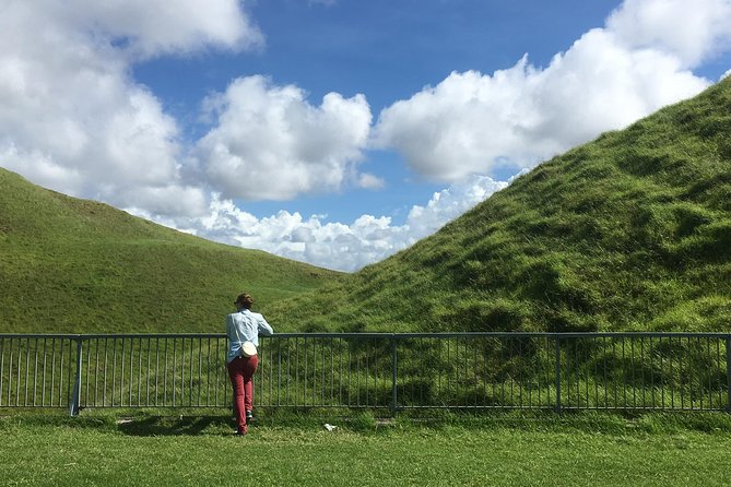 Shore Excursion: Half-Day Auckland Volcanoes Tour - One Tree Hill connects scenery with New Zealand history