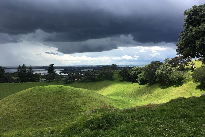 Shore Excursion: Half-Day Auckland Volcanoes Tour - What the guide adds to the experience