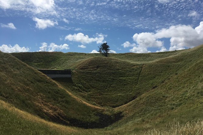 Shore Excursion: Half-Day Auckland Volcanoes Tour - Achilles Point opens with Hauraki Gulf views