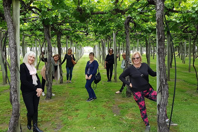 Shore Excursion Marlborough Wine Region Tour from Picton - The $148.94 price and what you receive