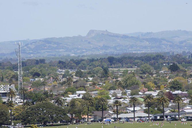 Shore Excursion: Napier and Surrounding Countryside Scenic Tour - Why this tour works for a short port call