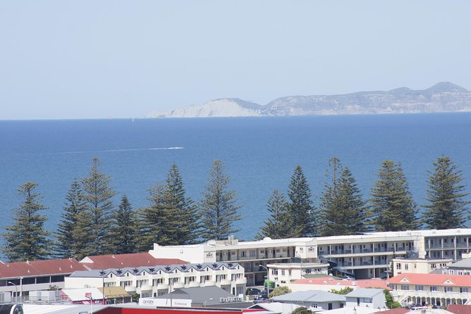 Shore Excursion: Napier and Surrounding Countryside Scenic Tour - Returning to central Napier