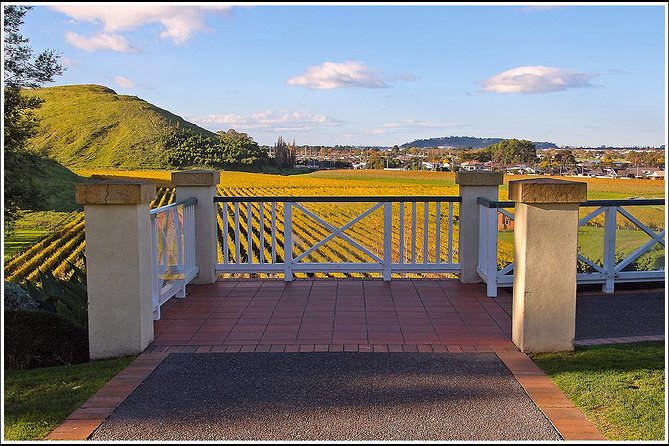 Shore Excursion: Napier/ Hawke's Bay & Premium Wineries tour - Guides, driving, and the small-group feel