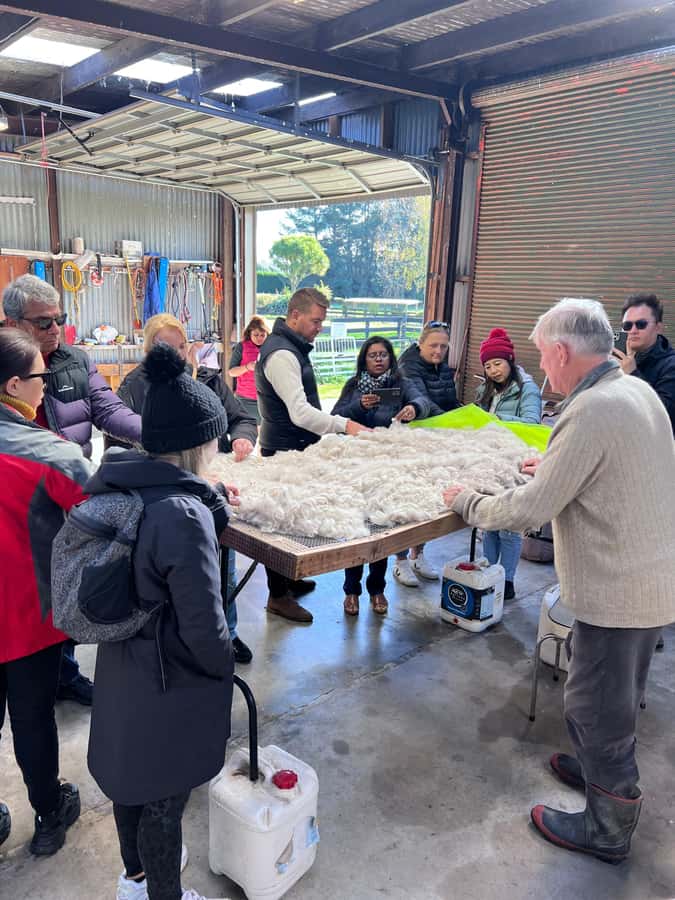 Silverstream Alpaca Farm Tour with Feeding and Guide - The welcome talk and safety briefing