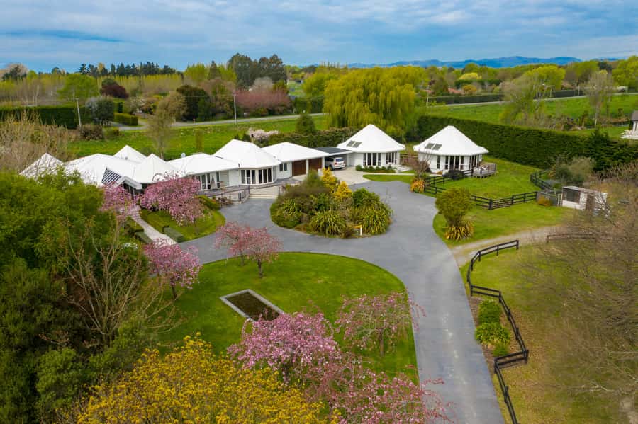 Silverstream Alpaca Farm Tour with Feeding and Guide - Gardens, lawns, and time by the river